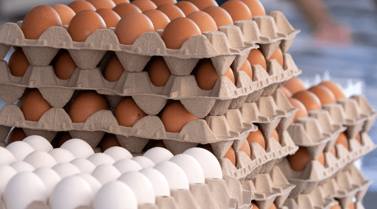 Consumo y producción de huevos alcanzan récord histórico en Argentina durante el primer semestre de&nbsp;2025