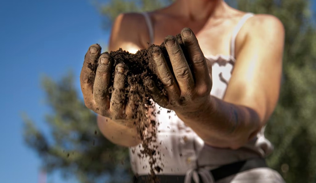 Del campo tradicional al retiro consciente: la nueva cara del turismo rural&nbsp;argentino