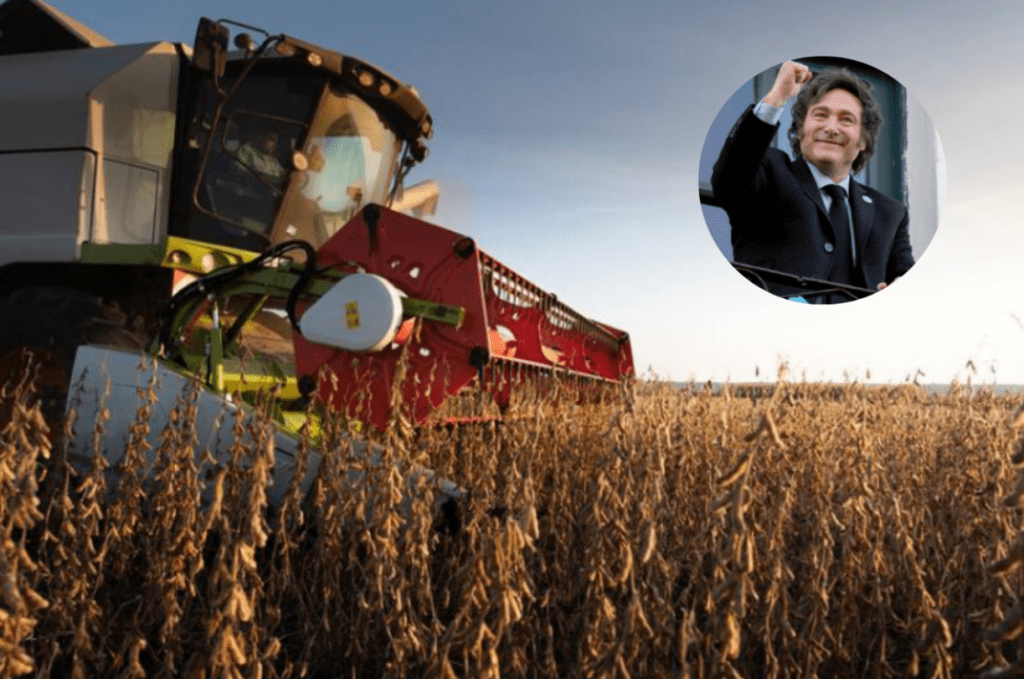 Santa Fe: El campo aportará casi US$10.000 millones en el último cuatrimestre del año 