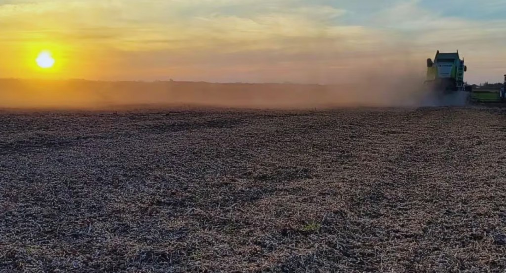 Un innovador sistema de aire forzado reduce a la mitad las pérdidas en la cosecha de&nbsp;soja