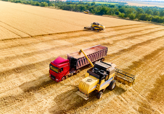 Monitoreo inteligente para preservar la calidad de los&nbsp;granos