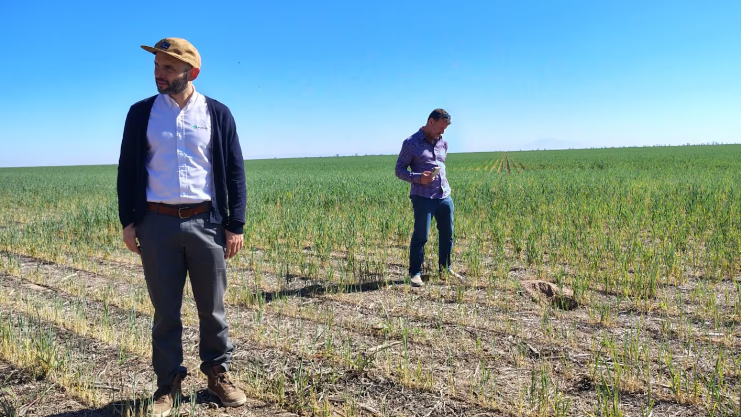 Pequeños gestos que transforman la tierra en el norte&nbsp;argentino