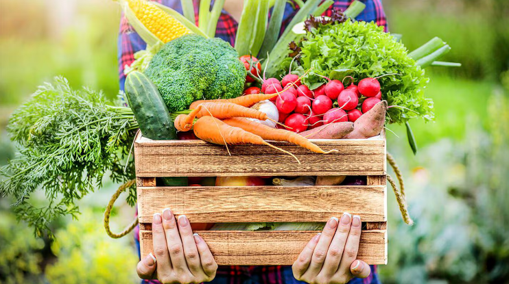 Coninagro alertó por retrocesos en las economías regionales: el algodón y las peras y manzanas empeoraron su&nbsp;desempeño