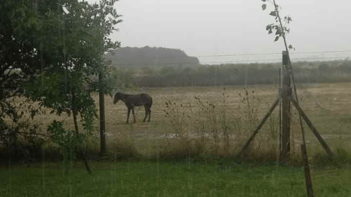 Pronostican lluvias muy abundantes en gran parte de la zona&nbsp;agrícola