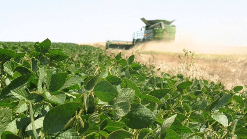Ensayos confirman que una nutrición equilibrada puede elevar hasta 900 kilos el rinde de la&nbsp;soja