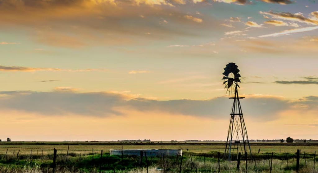 Presión internacional: La Sociedad Rural reclama cambios en la normativa ambiental de la Unión&nbsp;Europea