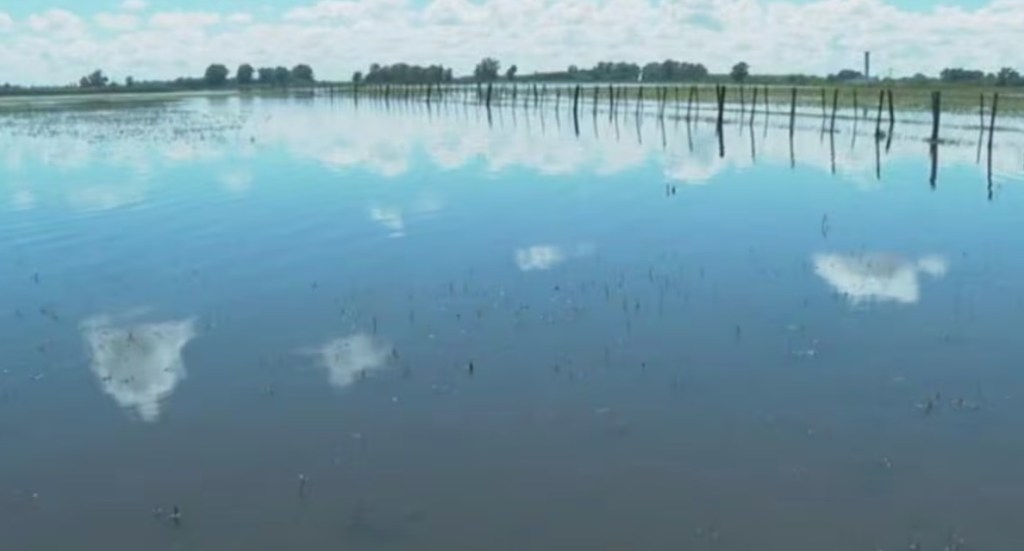 Pérdida millonaria: Inundaciones en 9 de Julio causaron un daño equivalente a 115 mil&nbsp;sueldos