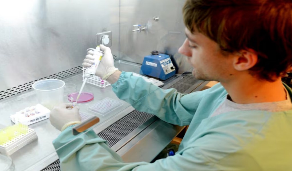 Hubo un nivel histórico de autorizaciones para nuevos eventos biotecnológicos en el&nbsp;agro