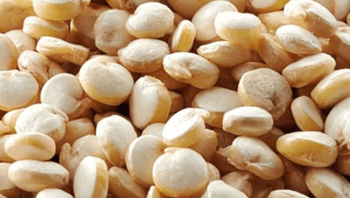 El INTA San Juan avanza en el manejo eficiente del riego para el cultivo de&nbsp;quinua