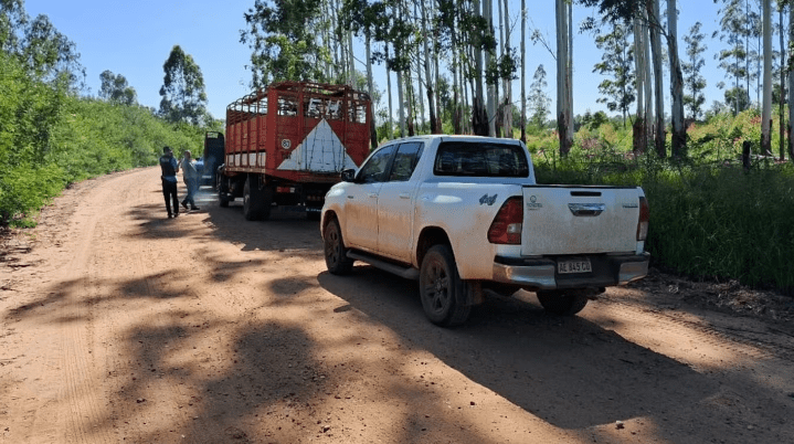 Malestar de productores por la demora en un allanamiento por abigeato en&nbsp;Corrientes