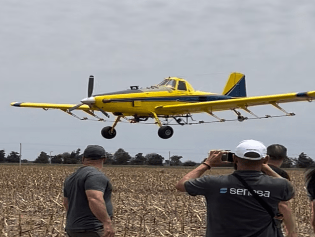 La estrategia argentina contra la langosta que hoy atrae la atención científica internacional