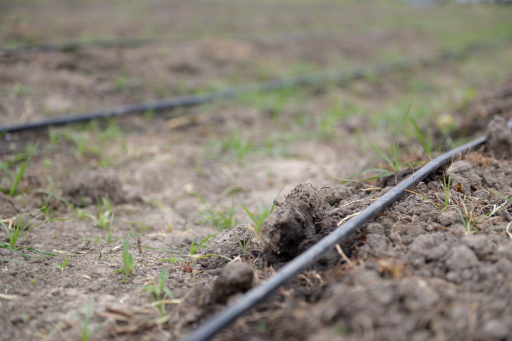 Señalan que el riego podría expandirse millones de hectáreas en&nbsp;Argentina