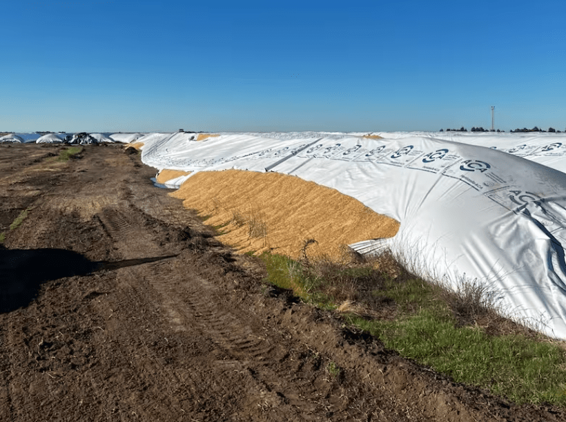 Preocupación en el campo por un nuevo ataque a silobolsas en plena tensión en la región&nbsp;núcleo