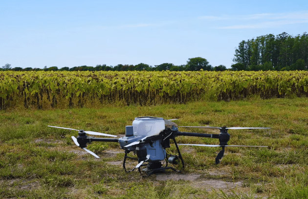 Drones y algoritmos permiten reducir más del 50% el uso de nitrógeno en&nbsp;girasol