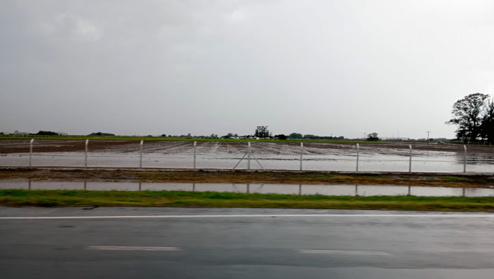 Prevén nuevas lluvias desparejas en la región agrícola durante la&nbsp;semana