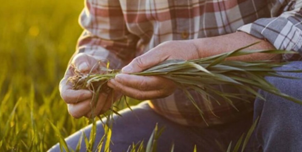 Se llevó adelante un reclamo por la actualización de los planes de estudio en la carrera de&nbsp;agronomía