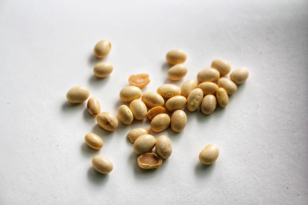 Authence: Syngenta disponibiliza nuevo herbicida contra malezas de soja