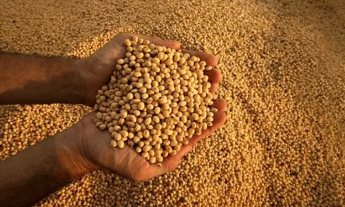 La demanda mundial de alimentos abrirá oportunidades para la agroindustria argentina hacia&nbsp;2035