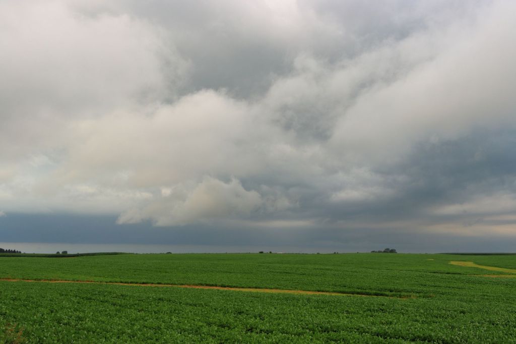 Agtech revoluciona pronósticos climáticos para el agro con tecnología de&nbsp;punta