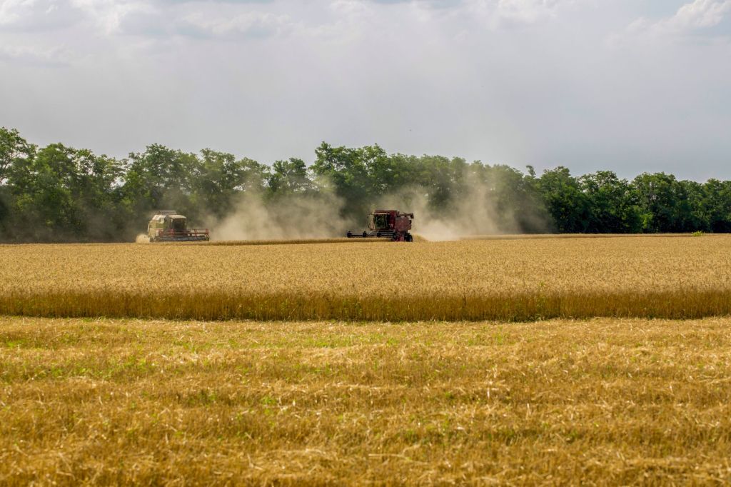 Demanda mundial de alimentos: perspectivas para la agroindustria hasta&nbsp;2035