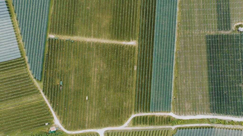 Argentina e Italia buscan fortalecer lazos en&nbsp;agroindustria